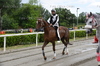 Immagine <b>REG_9221</b>